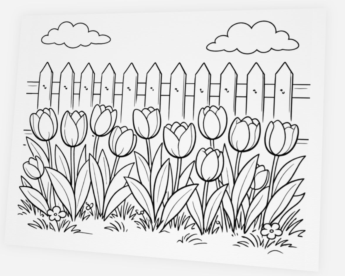 Tulip Garden