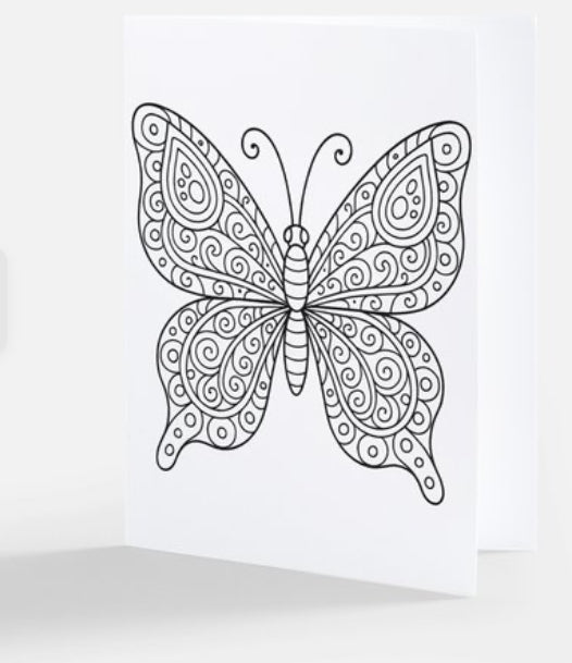 Wings of Wonder - 10 pack