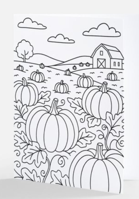 Pumpkin Patch